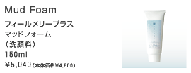 フィールメリープラスマッドフォーム